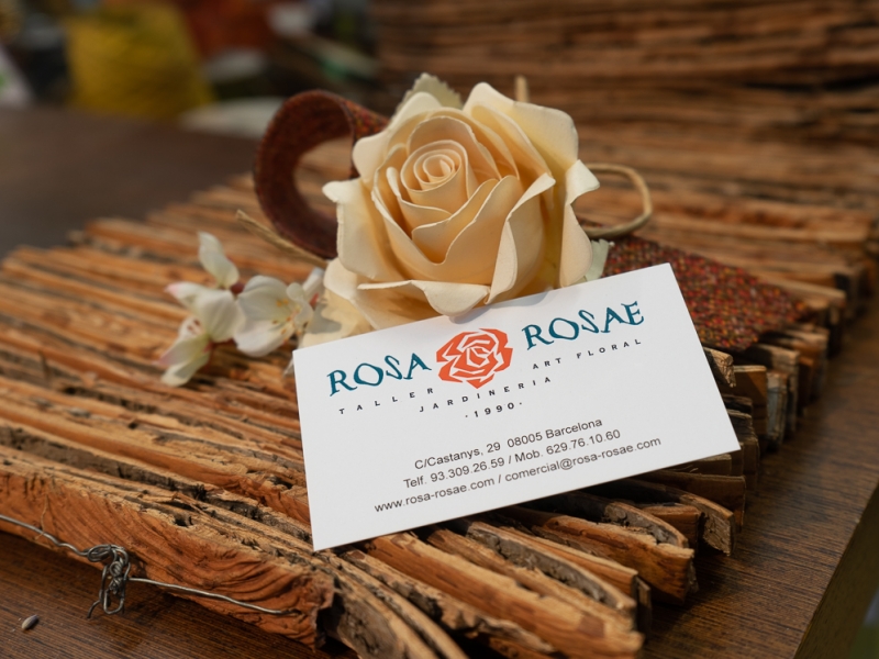 Rosa rosae decoración floral y jardinería (2)