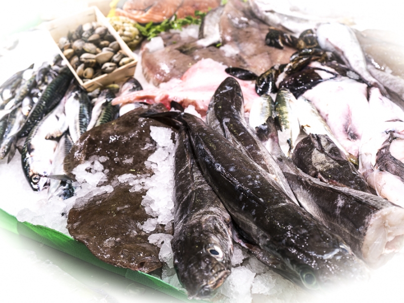 Premi de 50 euros en peix fresc